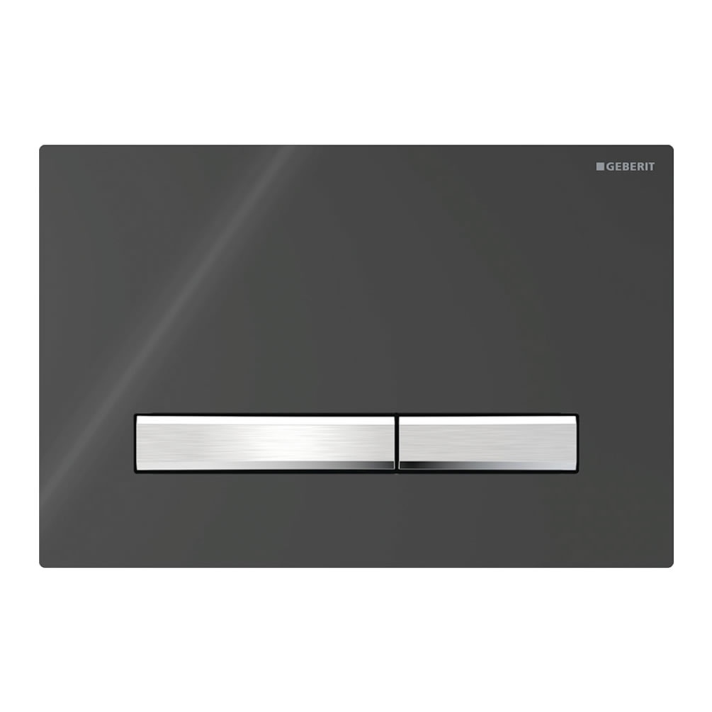 Cutout image of Geberit Sigma50 Square Black Glass Dual Flush Plate